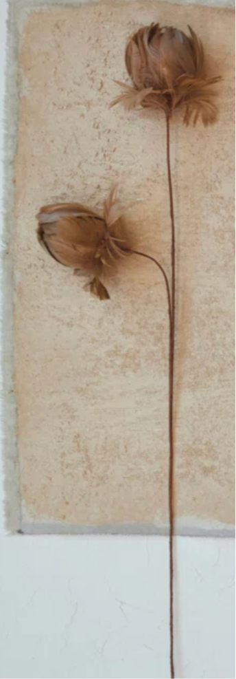 Feather Flower Stem