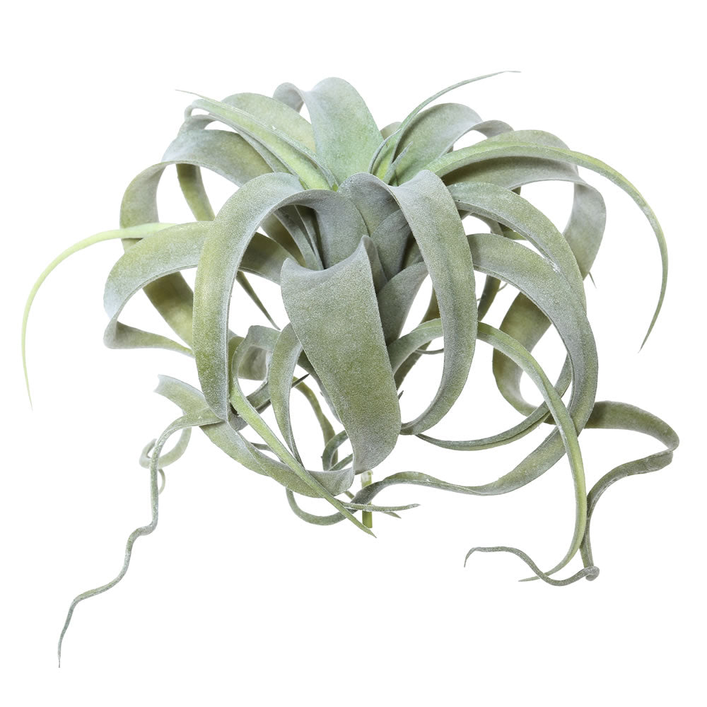 Green Tillandsia Pick