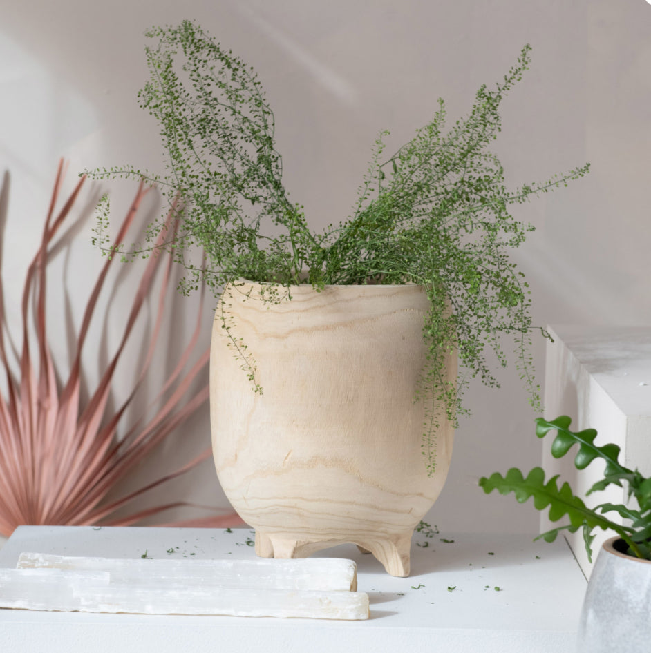 Paulownia Wood Footed Planter
