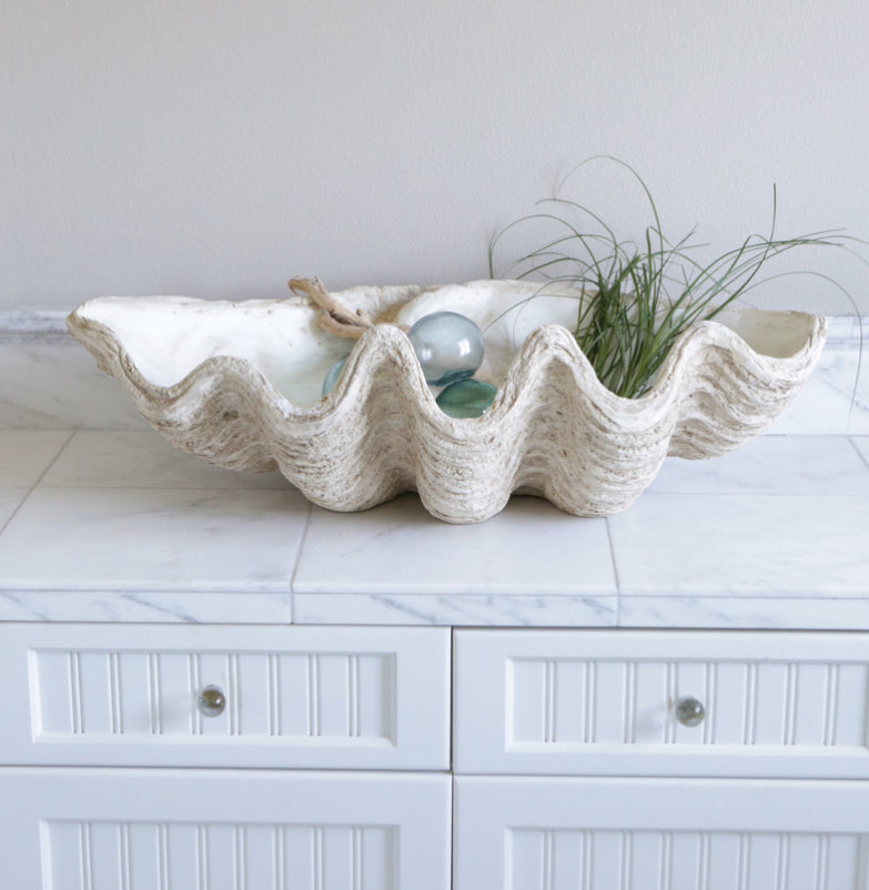 Magnesia Seashell Centerpiece
