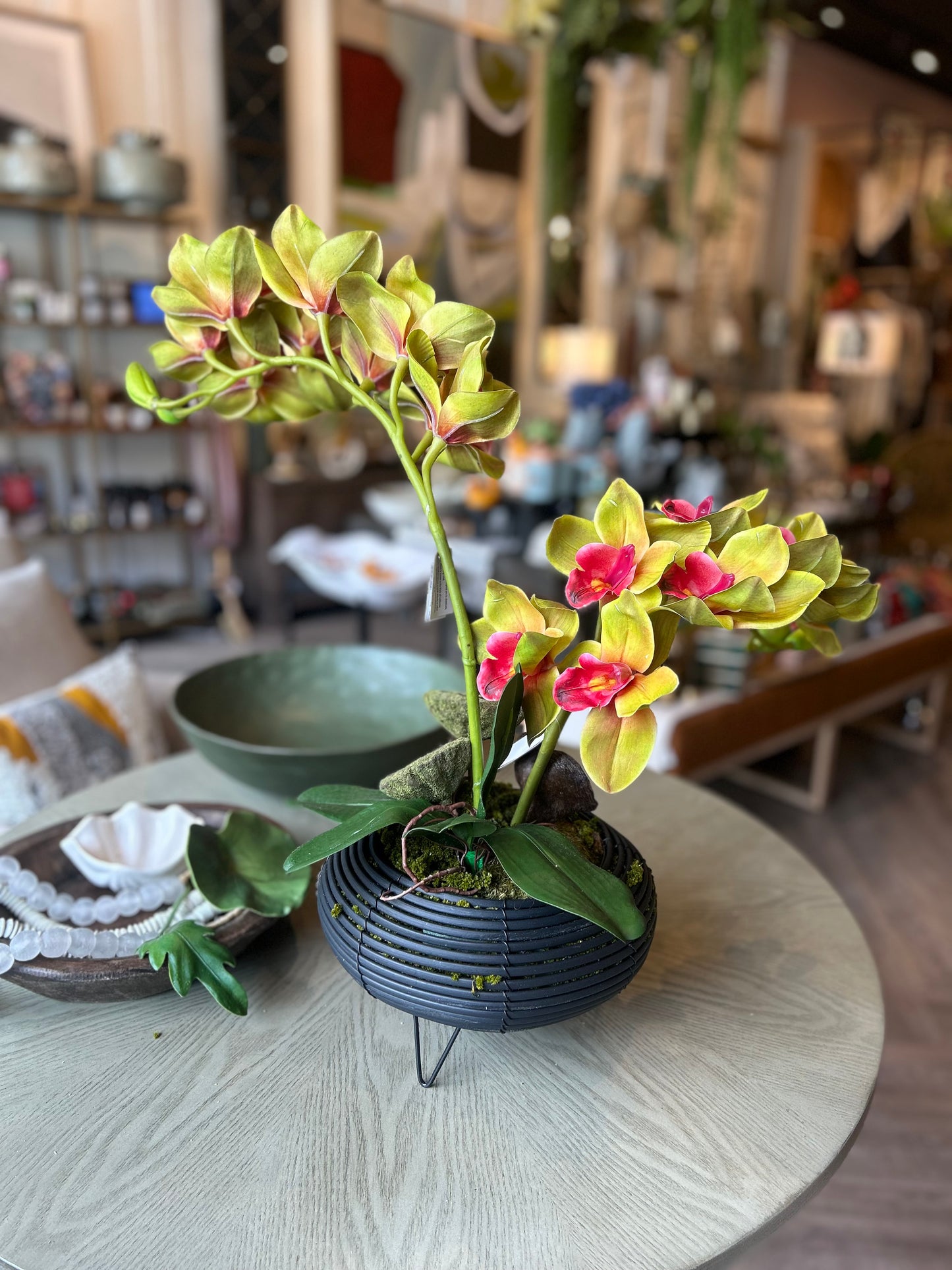 Orchid Arrangement