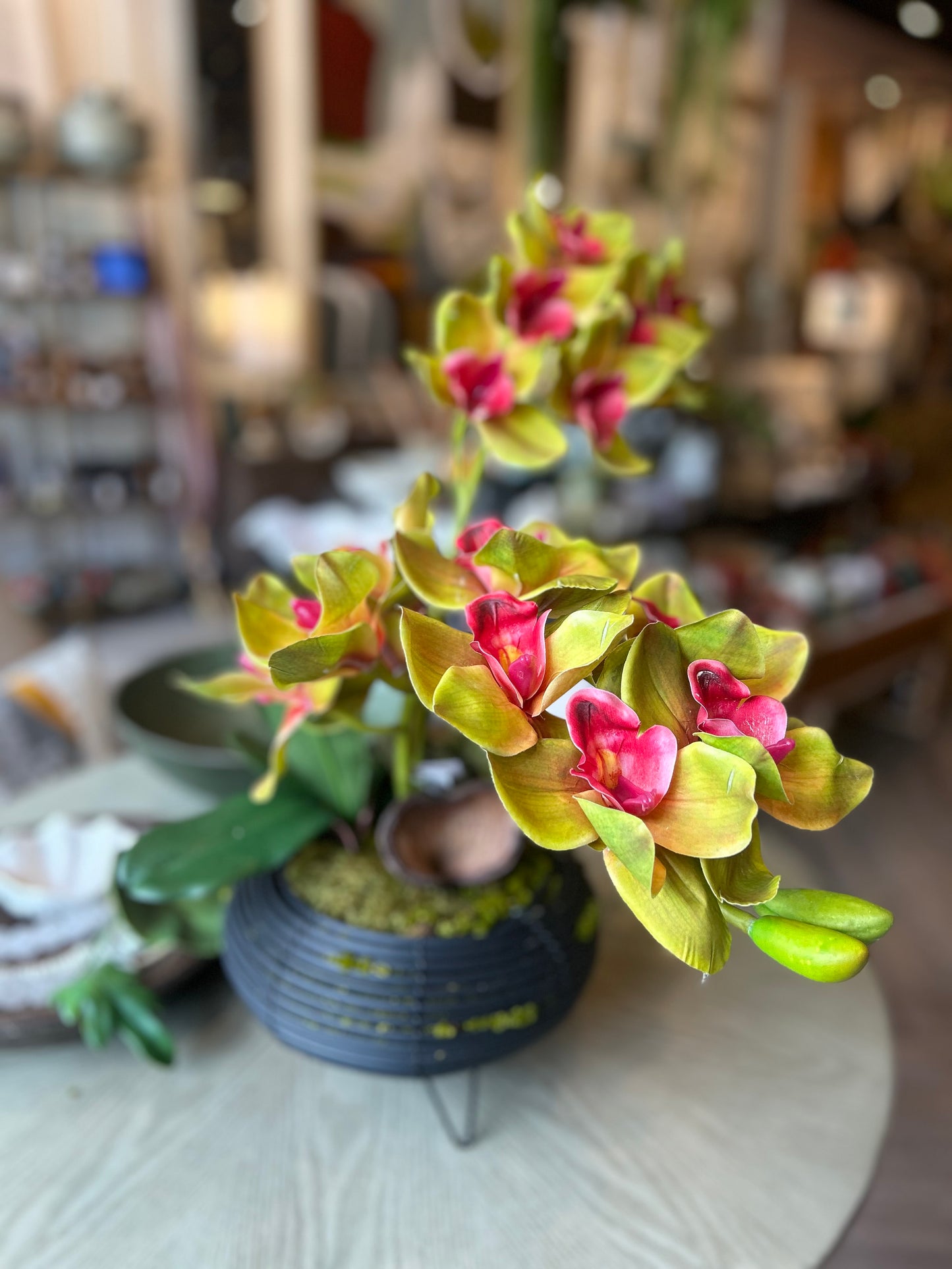 Orchid Arrangement