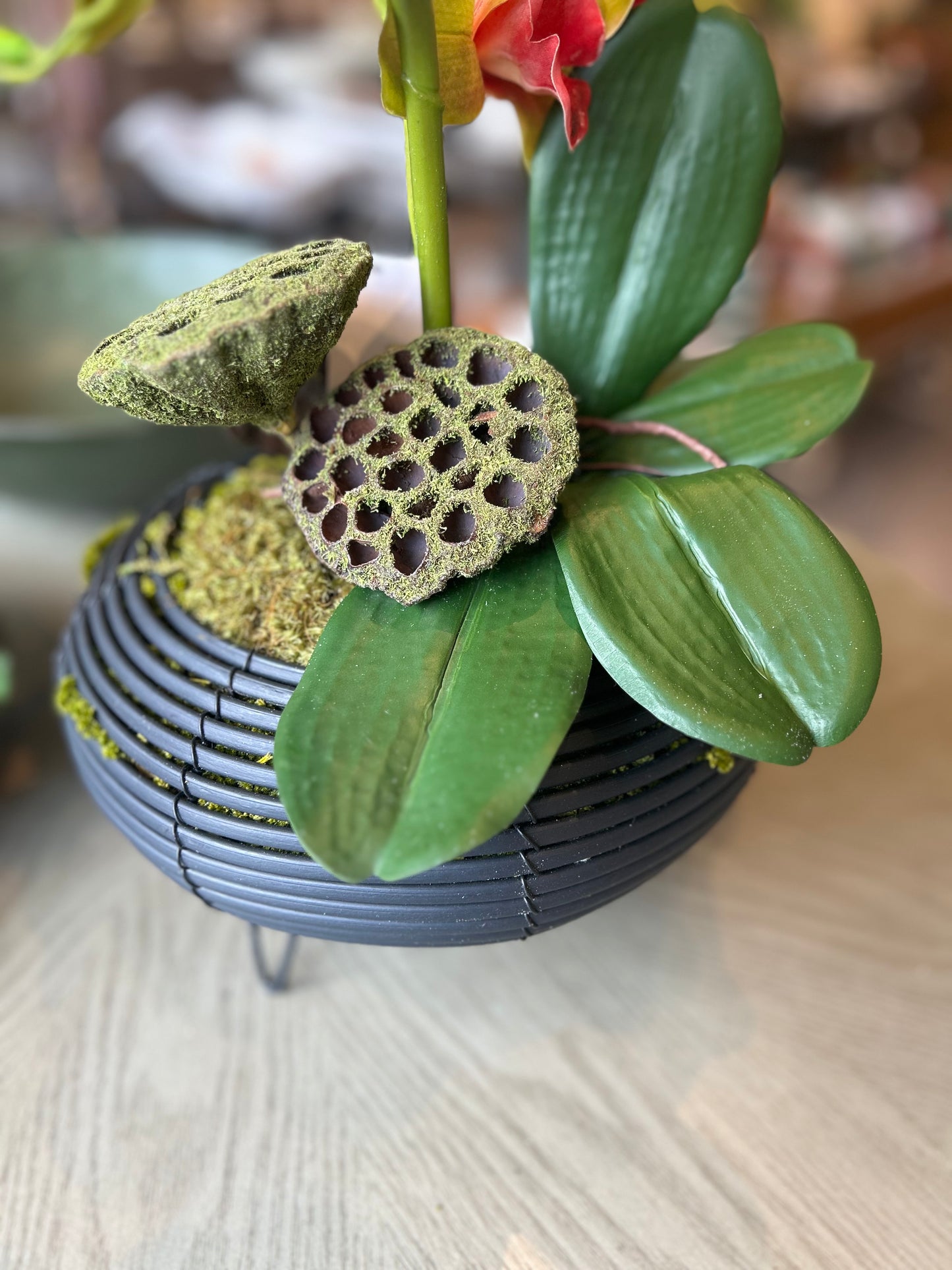 Orchid Arrangement