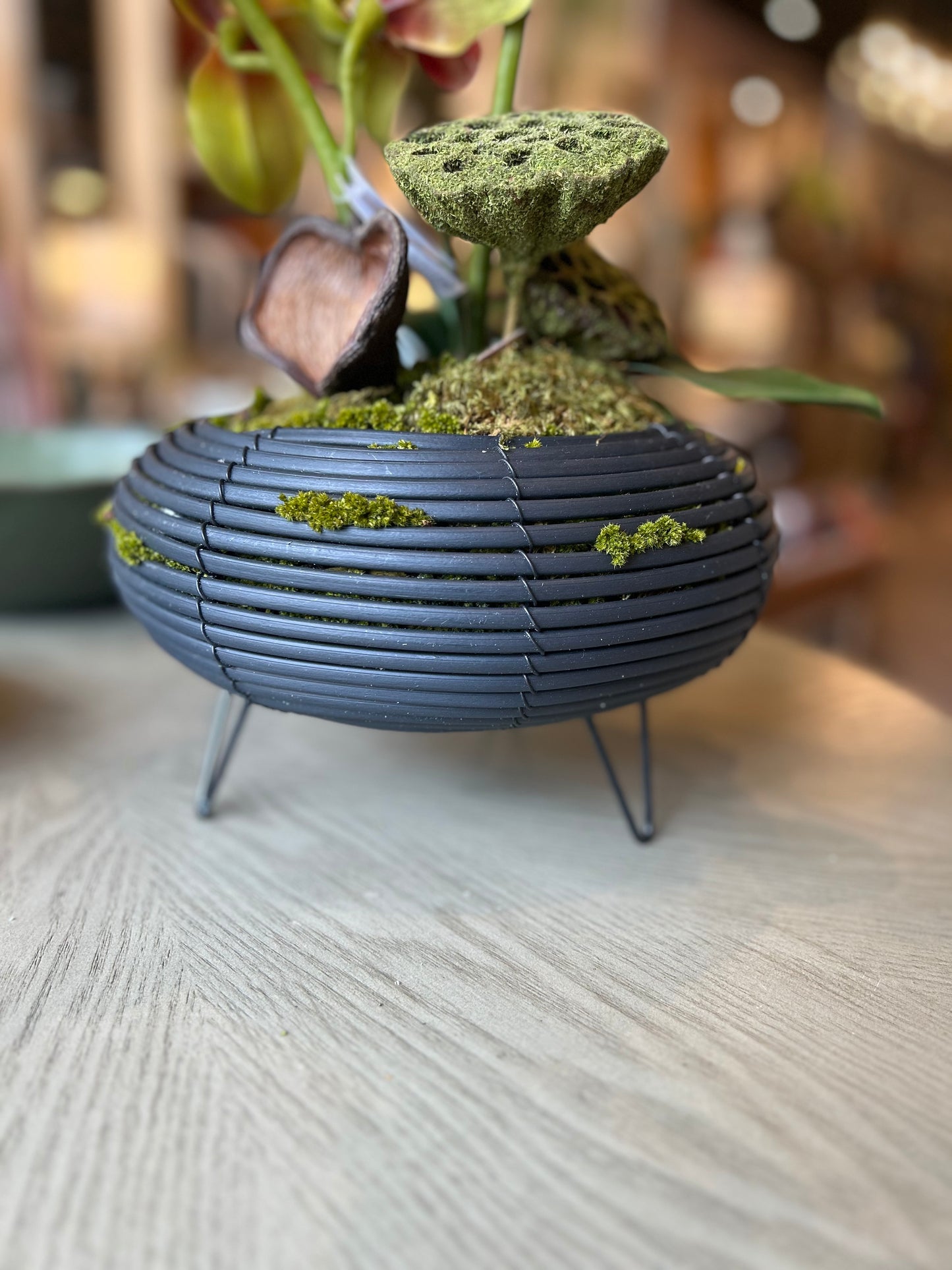 Orchid Arrangement