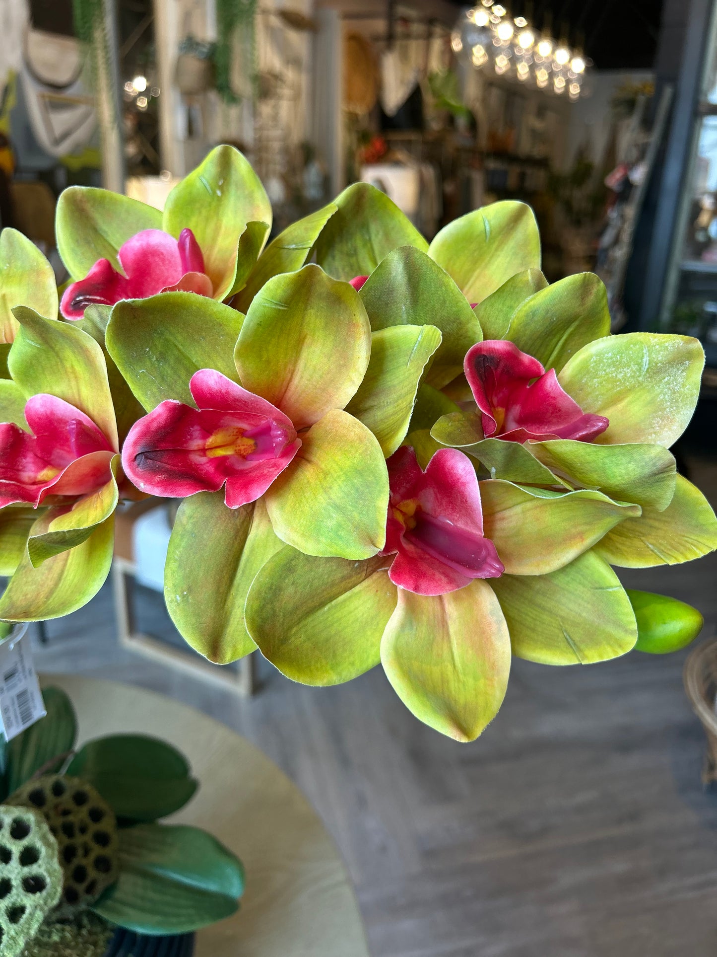 Orchid Arrangement