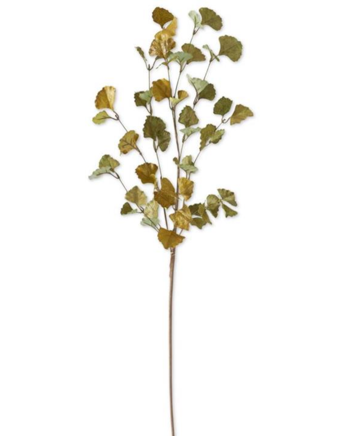 Green & Yellow Gingko Leaf Stem
