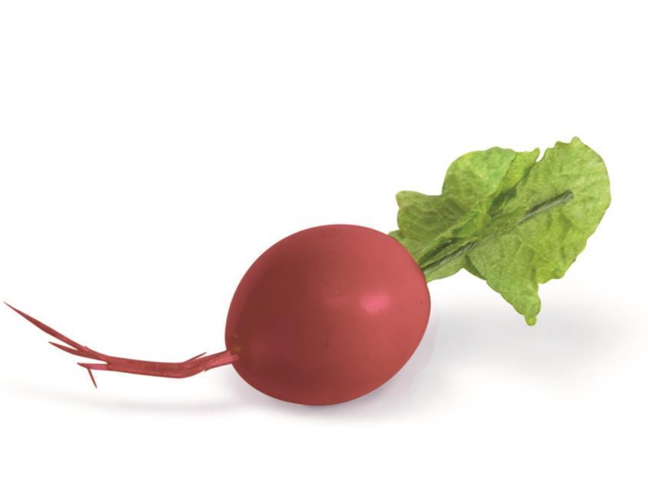 Faux Red Radish
