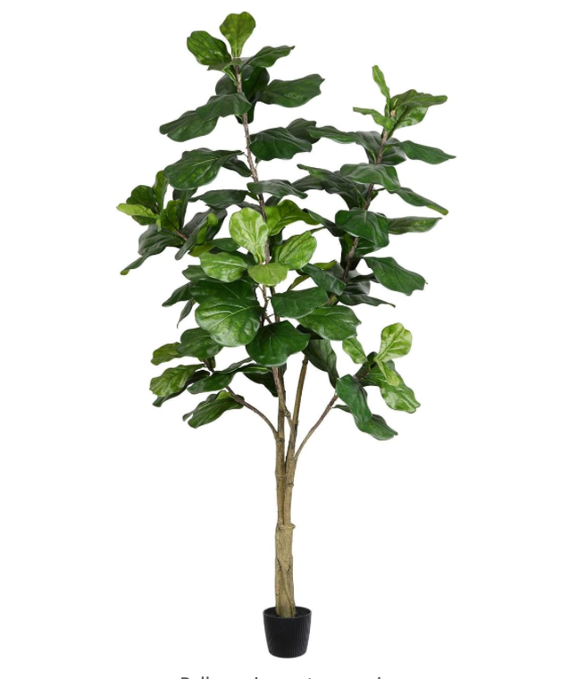 Faux Fiddle Fig Tree