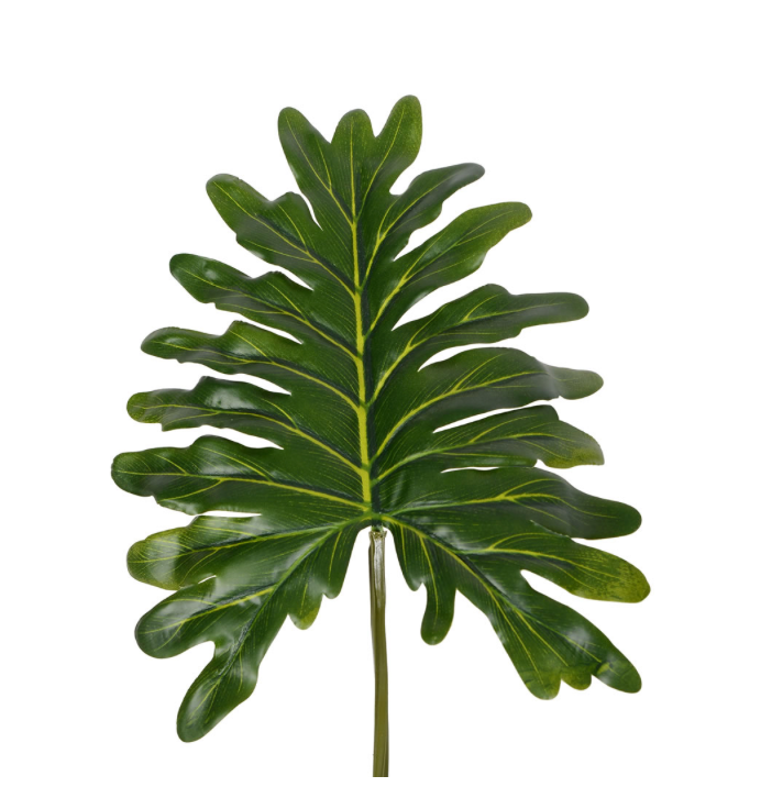 Grand Philo Potted 38"