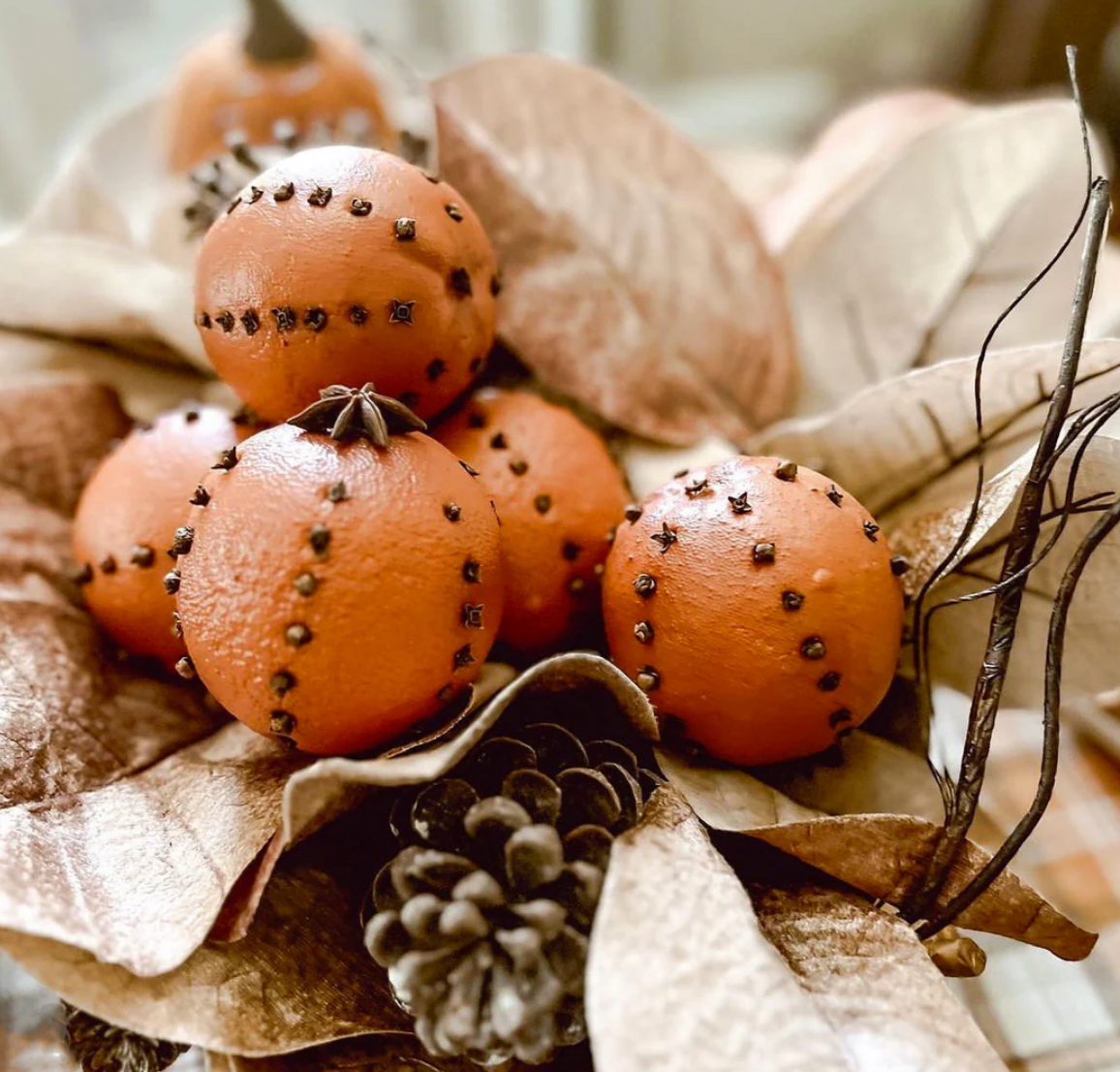 Orange with Real Clove & Star Anise