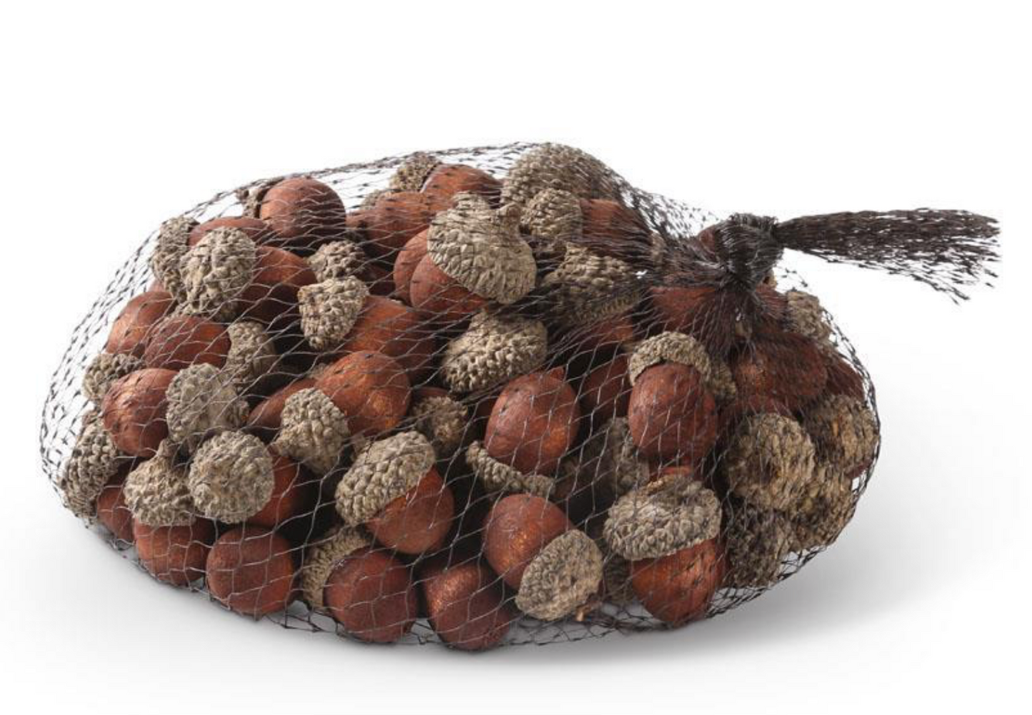 Acorns in a Bag