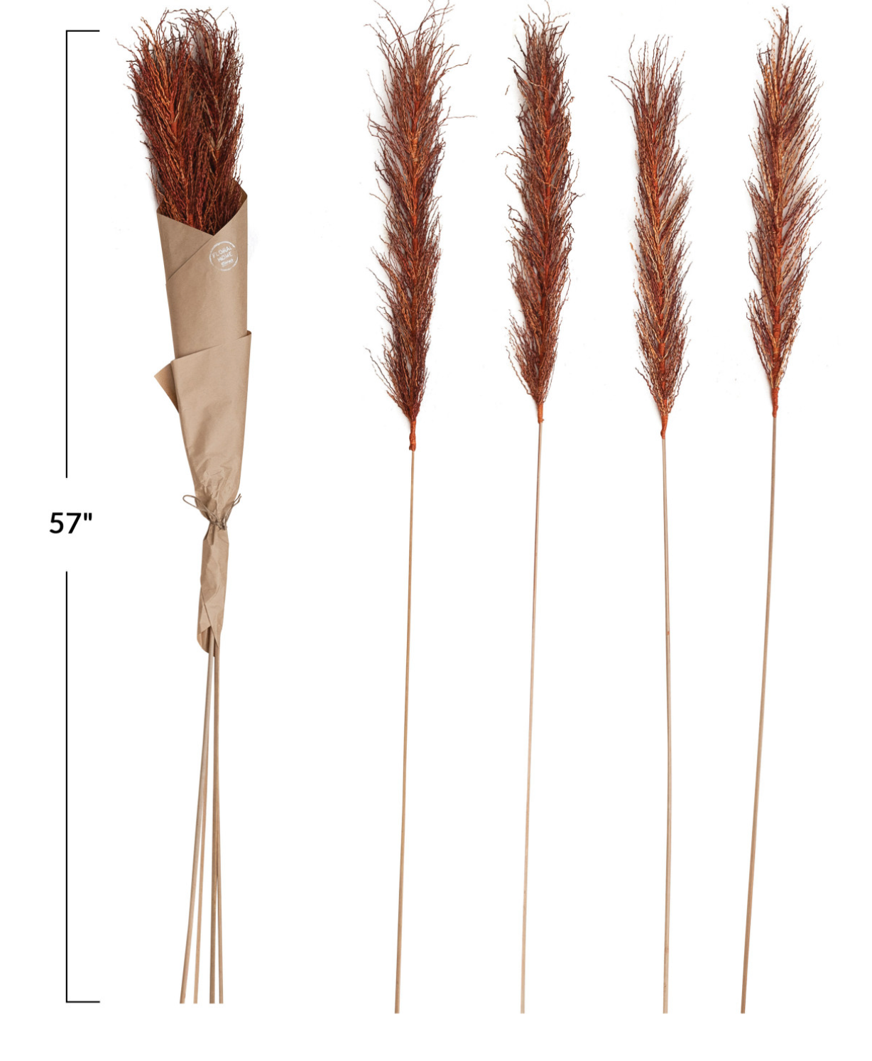 Dried Natural Date Palm Bunch