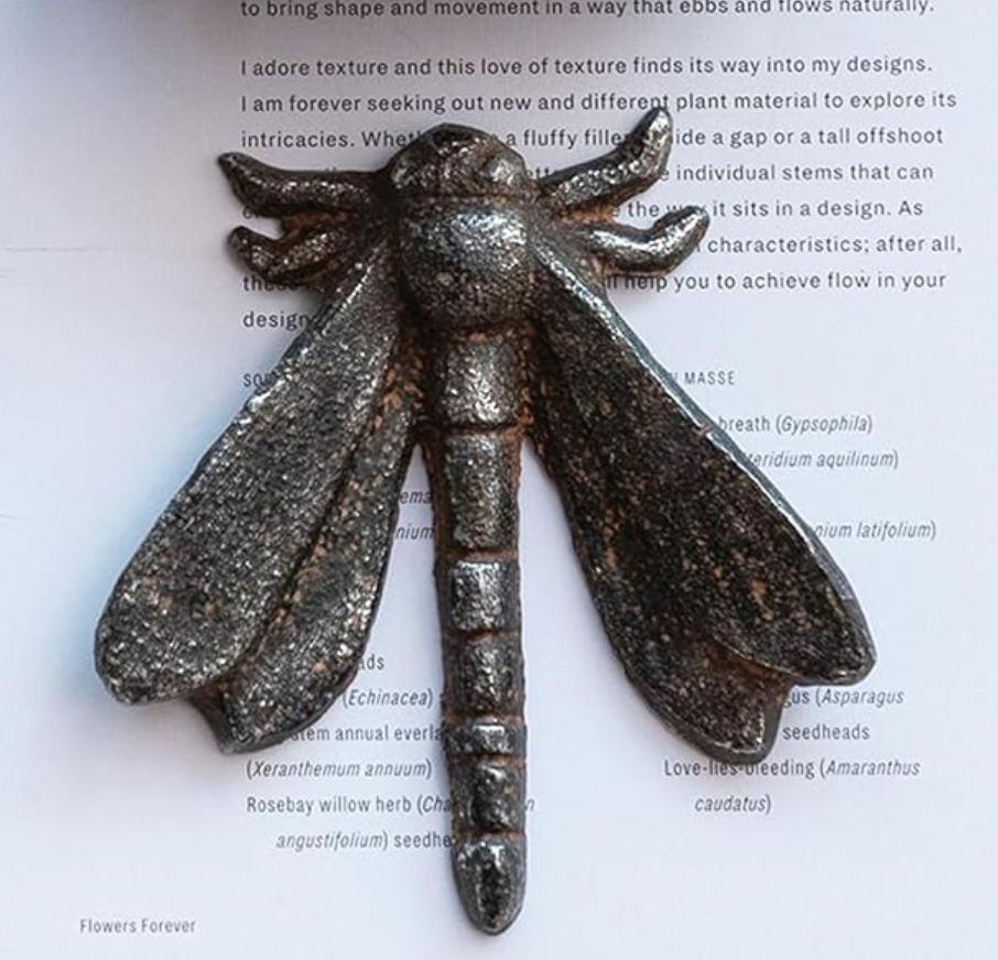 Cast Iron Dragonfly