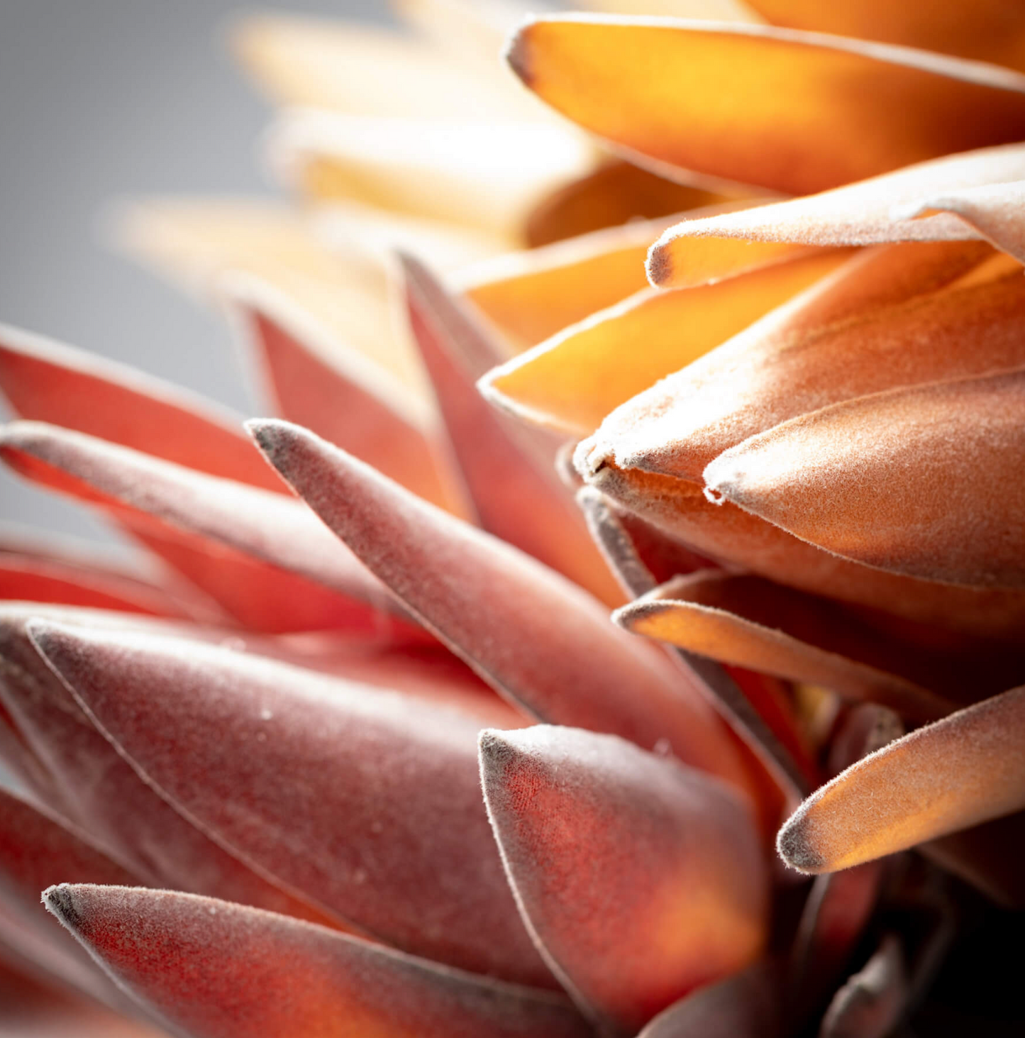 Fall Artichoke Spray