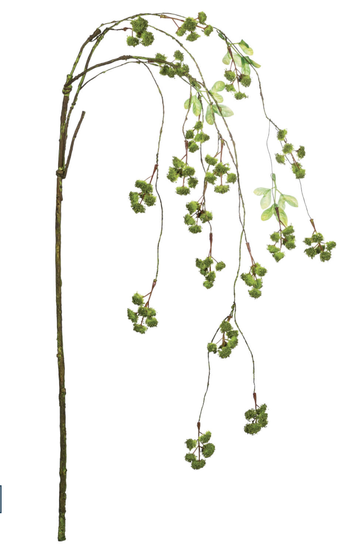 Hanging Irish Moss Spray