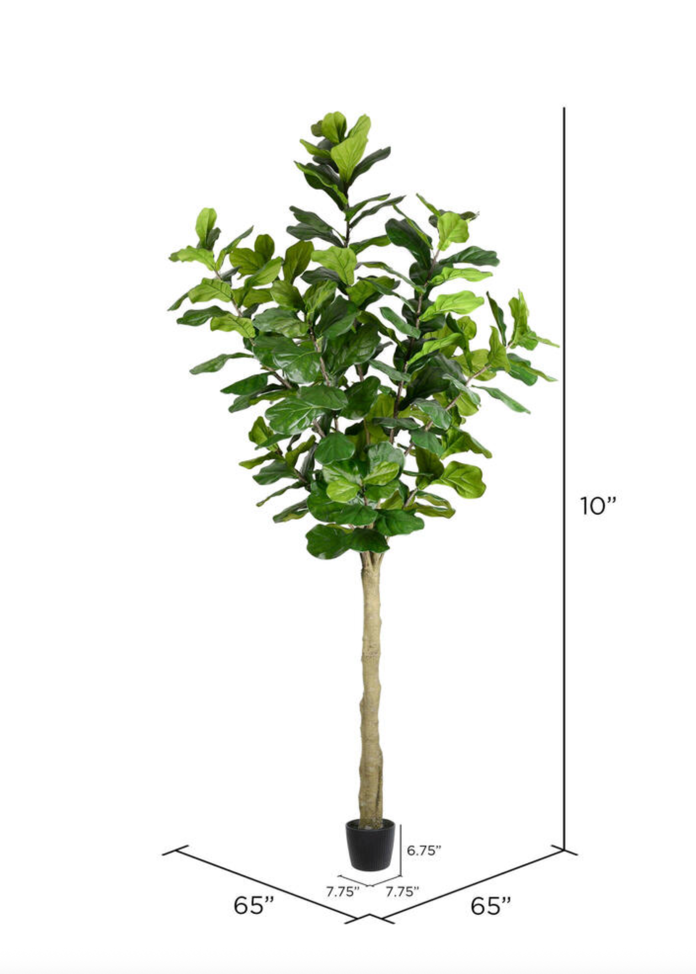 Faux Fiddle Fig Tree
