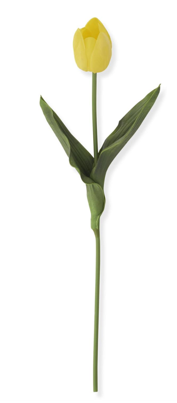 Tulip Stem K & K Interiors Real Touch