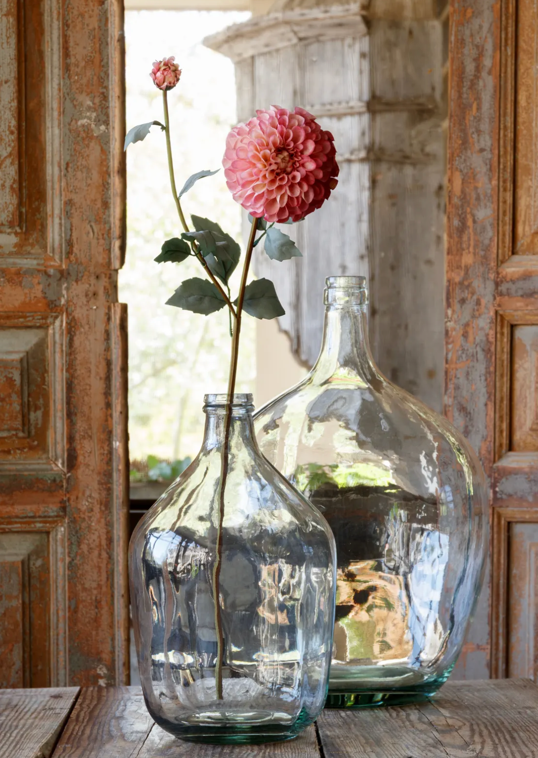 French Pink Border Dahlia Stem