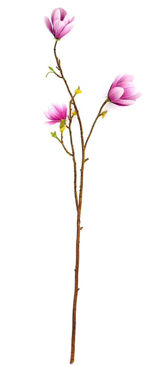 Blush Saucer Magnolia Stem