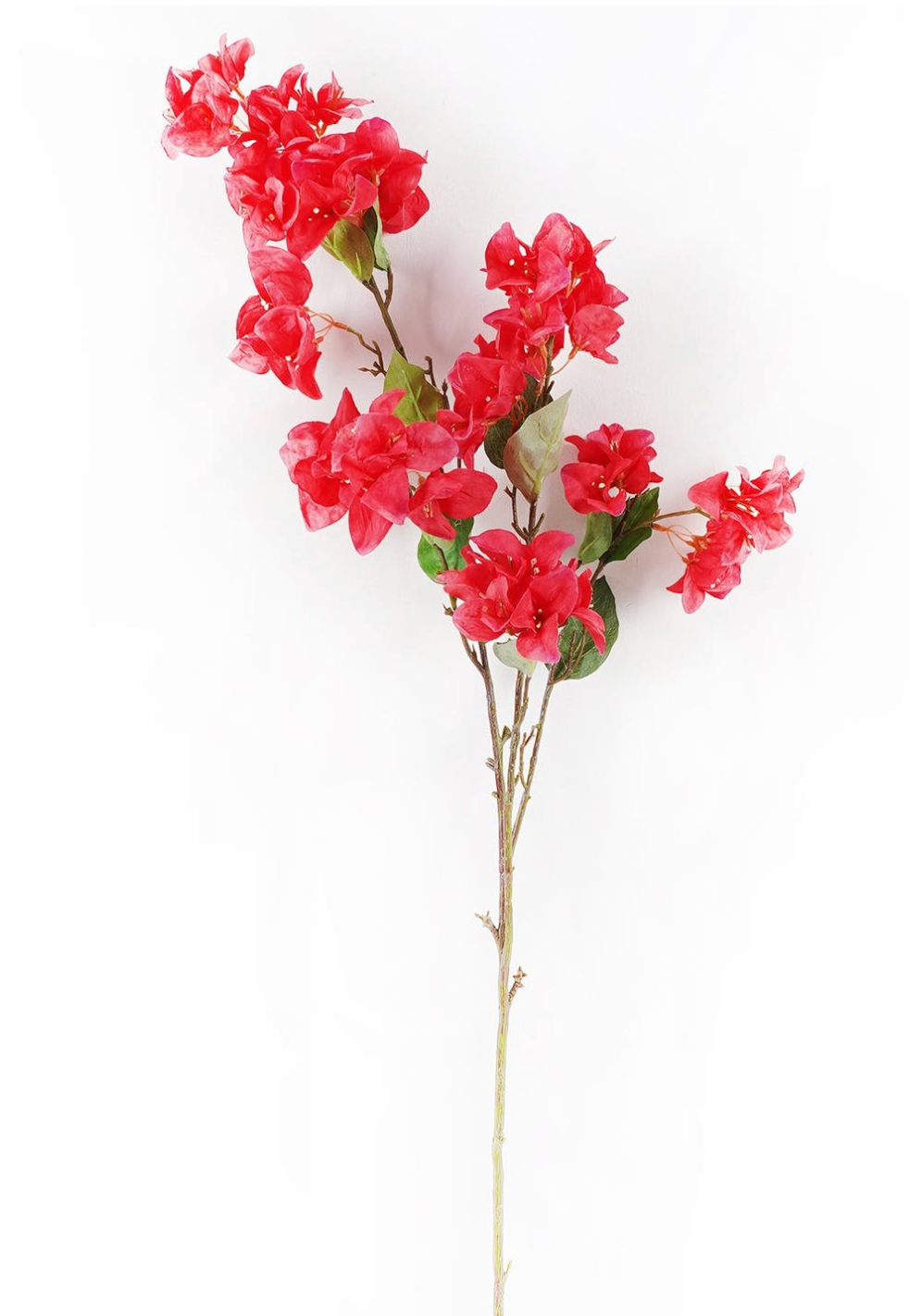 Bougainvillea Stem Bridal Pink
