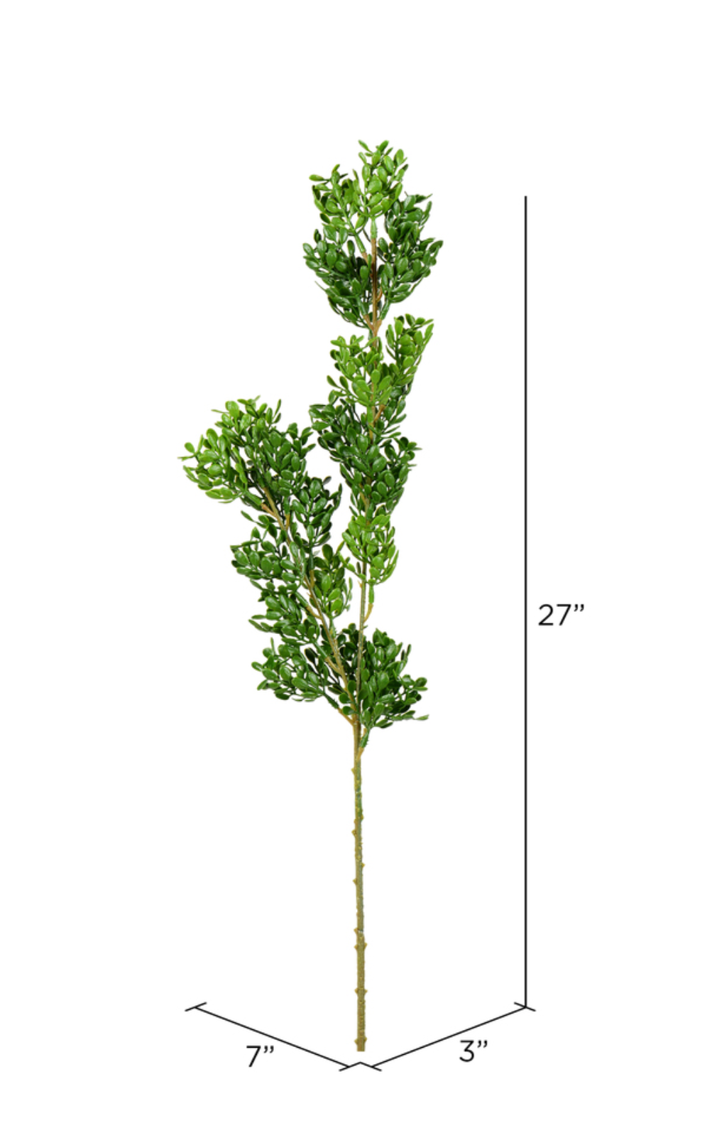 Boxwood Stem 27"