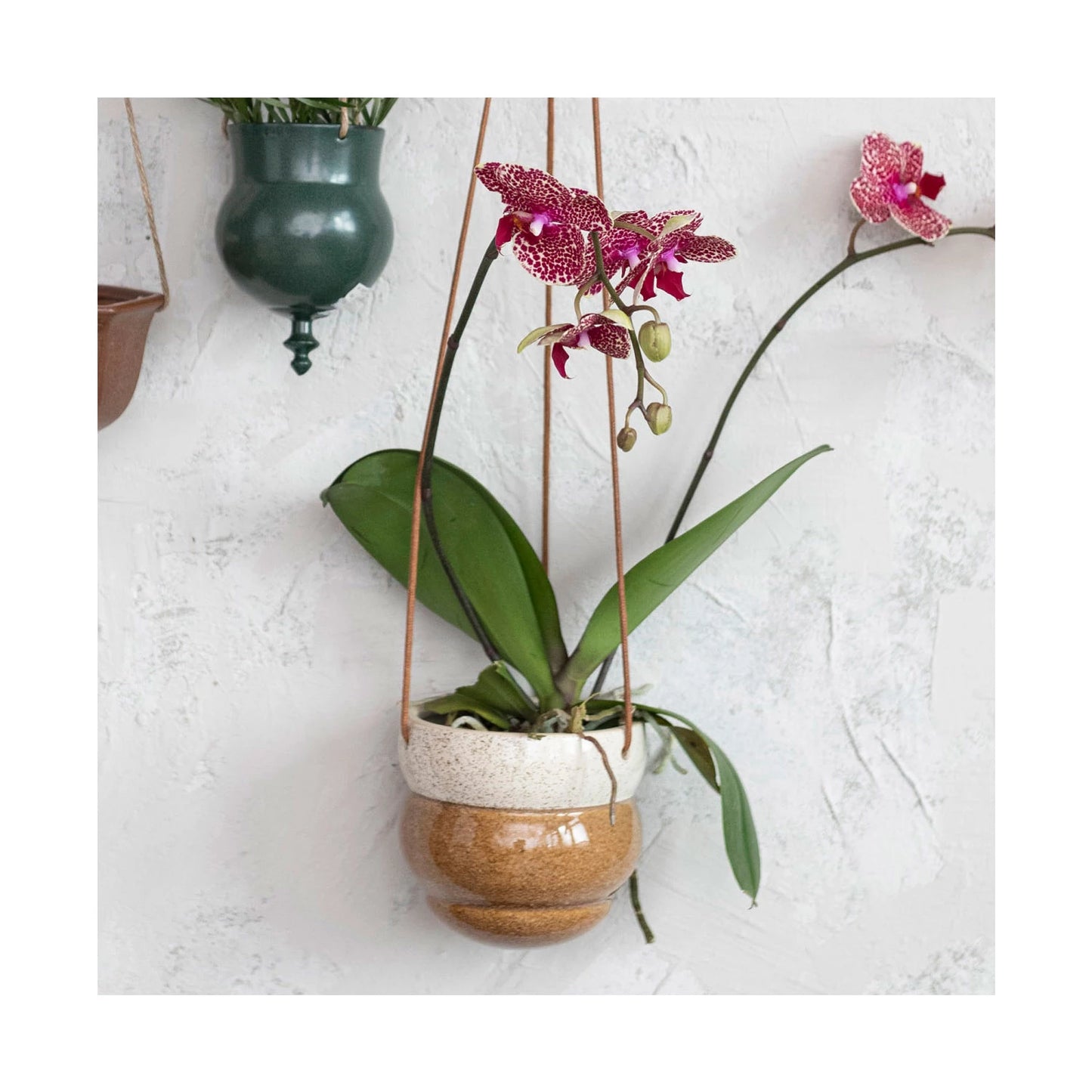Hanging Planter w/ Cotton Rope