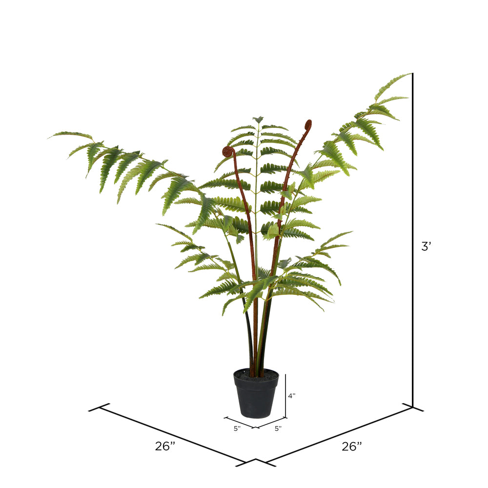 3' Potted Leather Fern