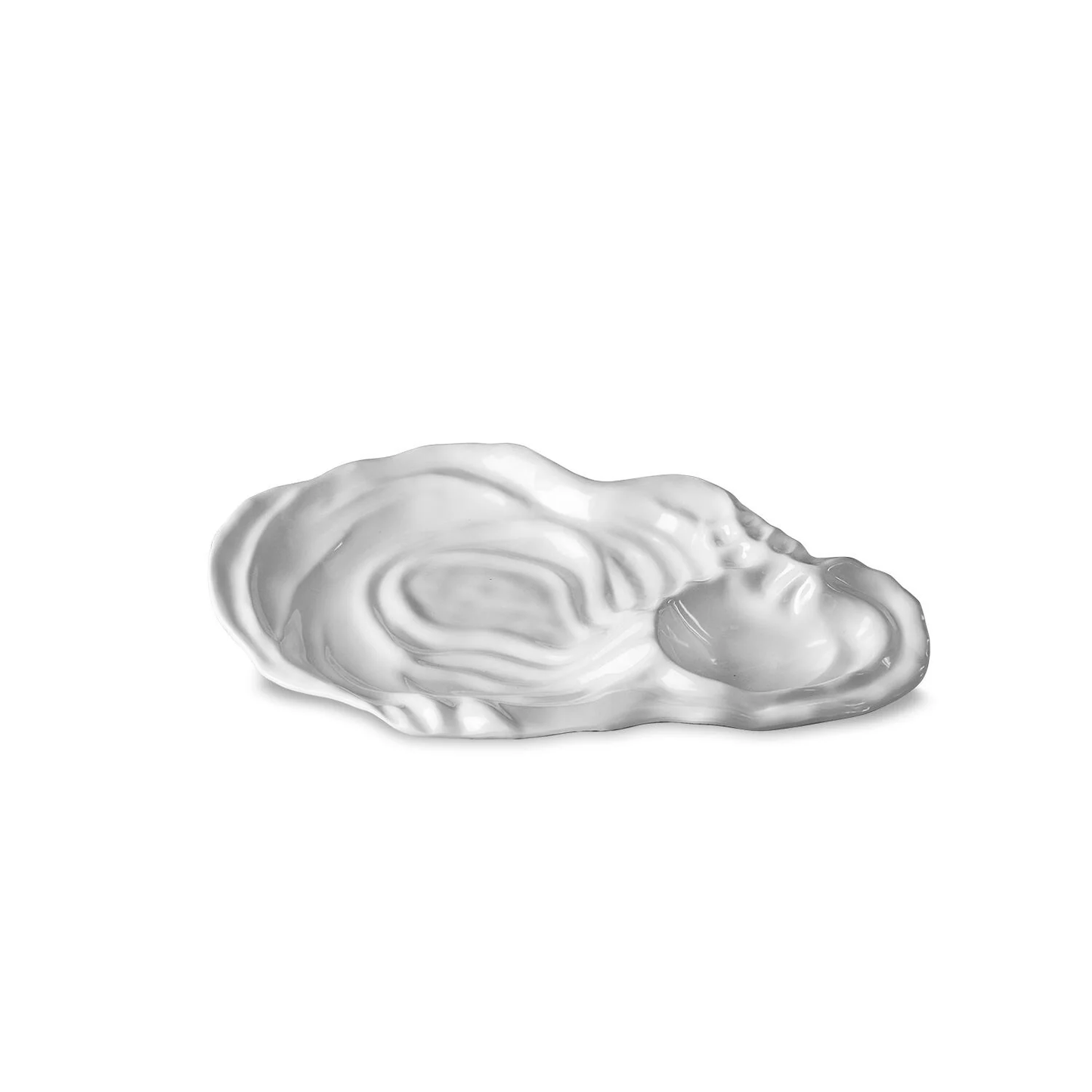 VIDA Ocean Oyster Dip