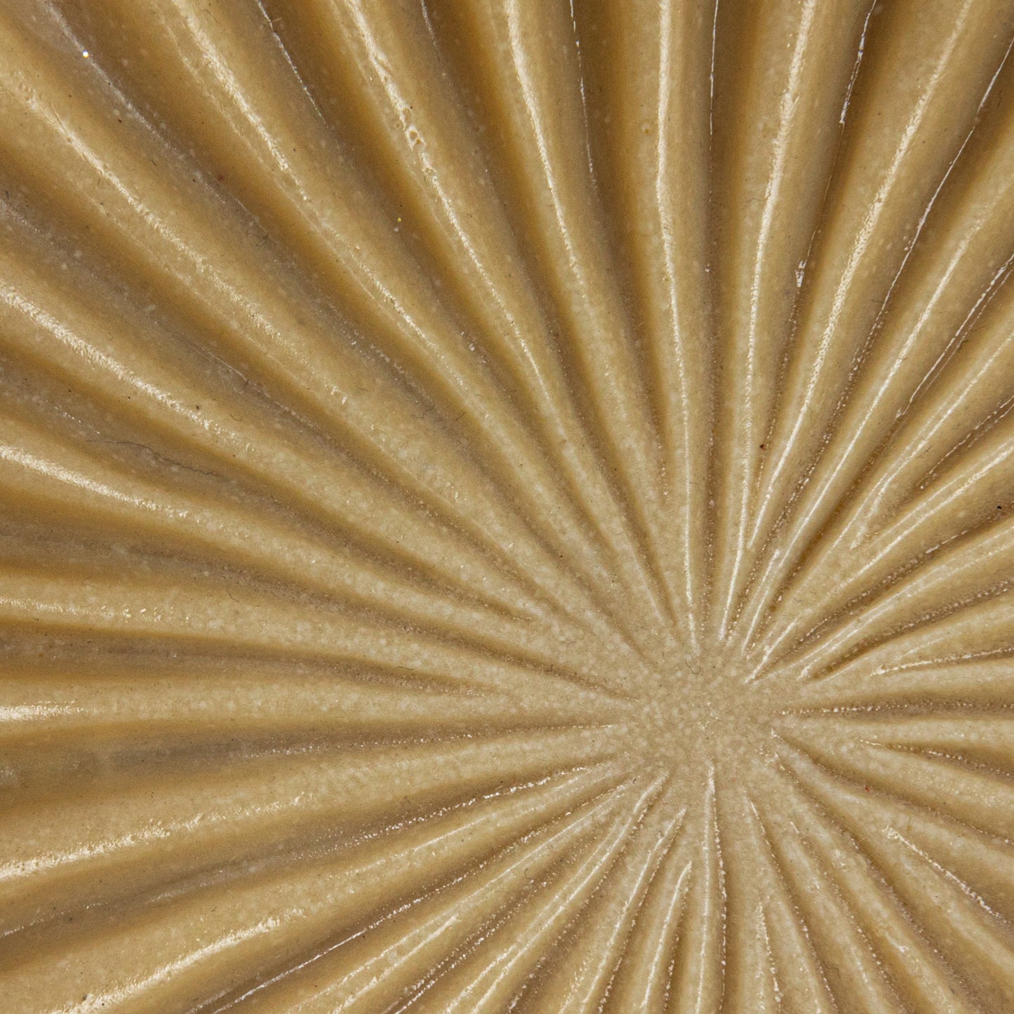 Decorative Resin Scalloped Bowl