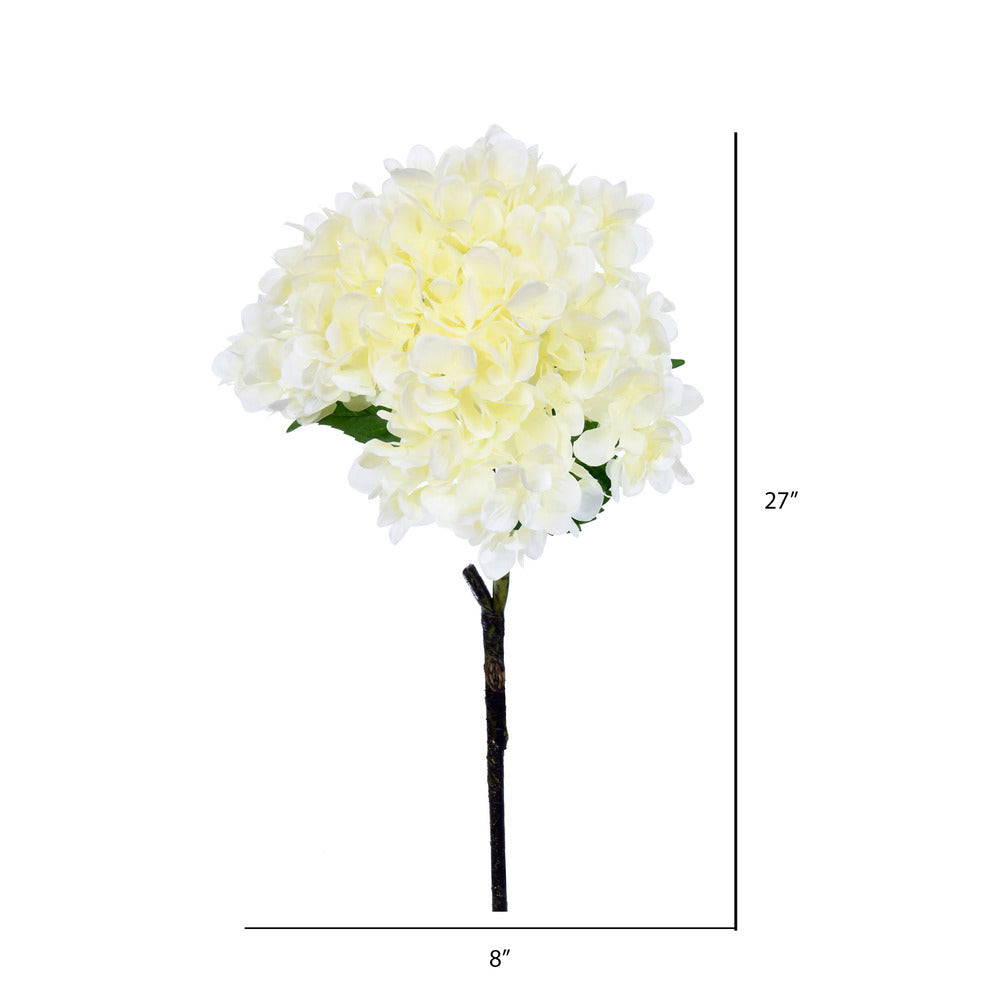 Hydrangea Stem