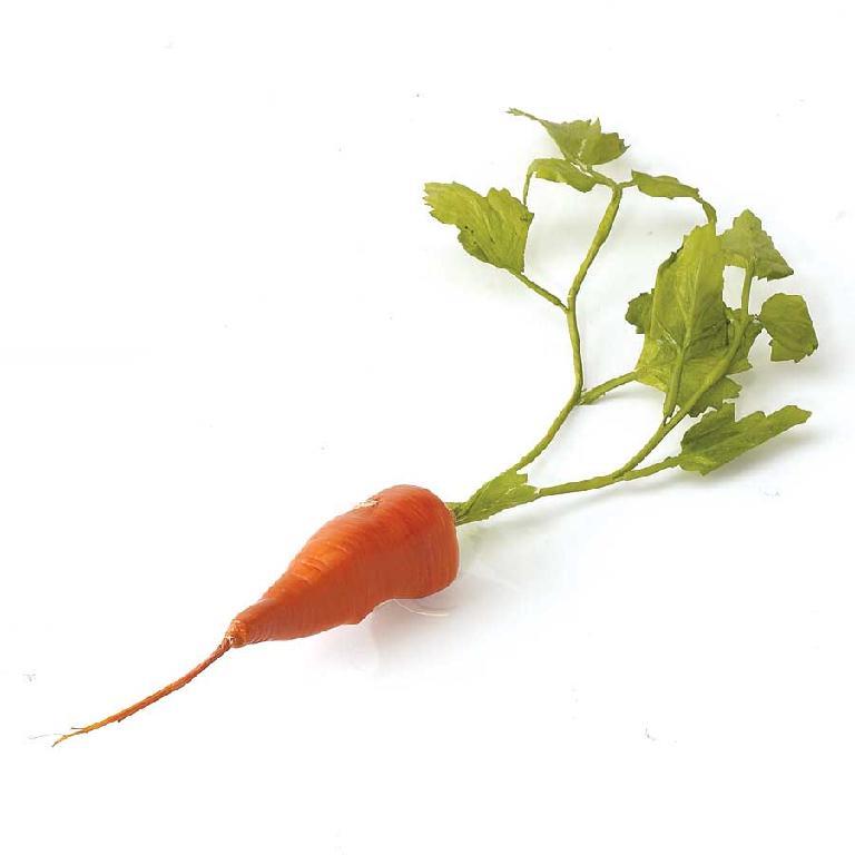 Faux Carrot