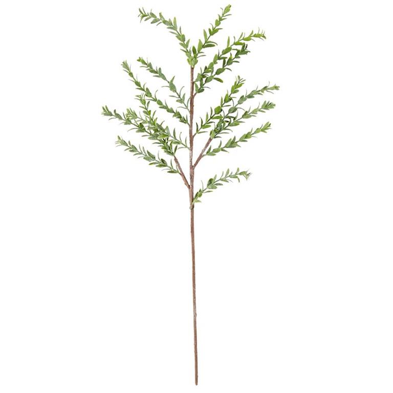 33" Myrtle Branch