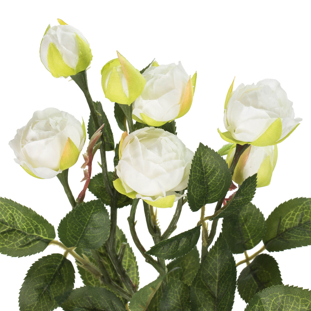 Tea Rose Spray