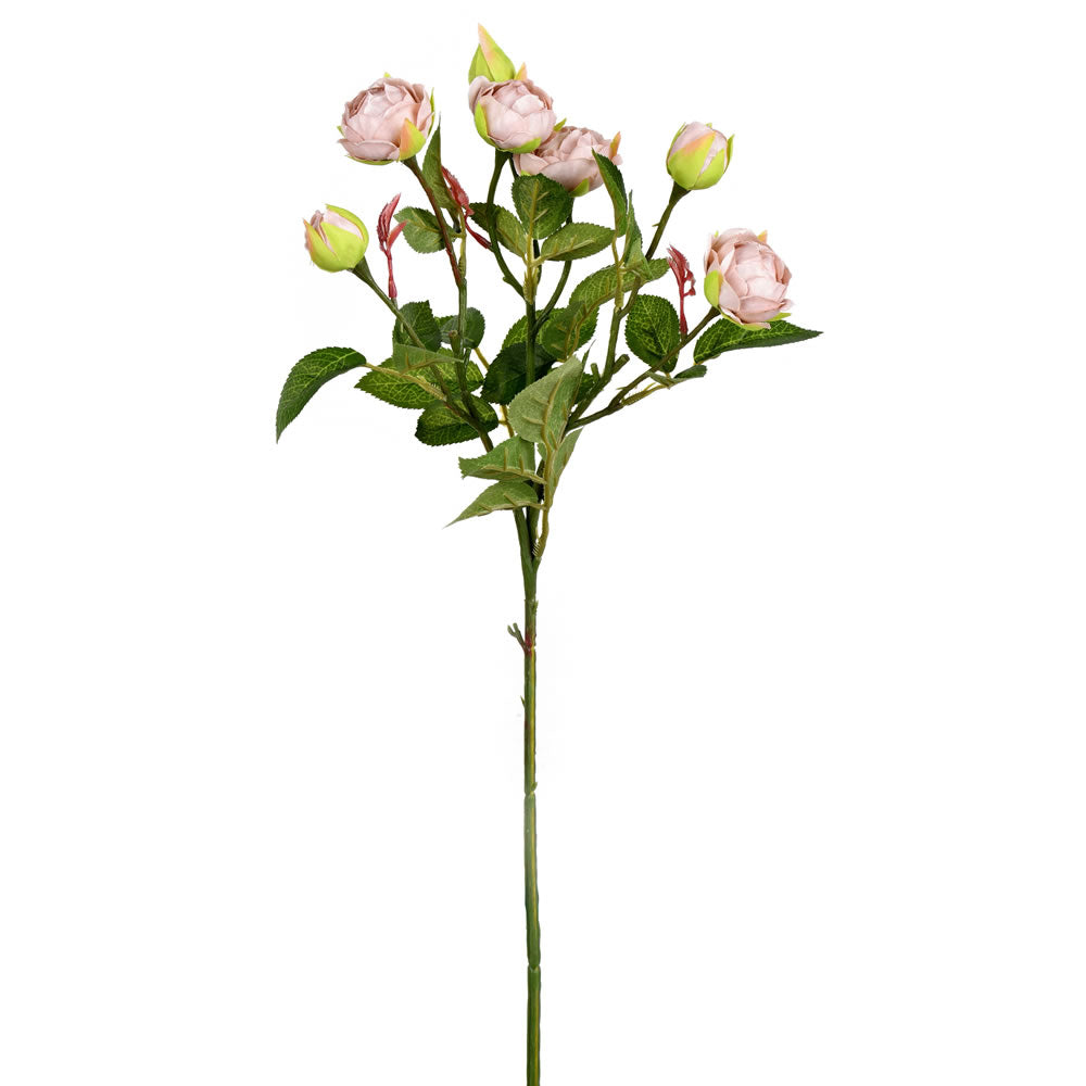 Tea Rose Spray