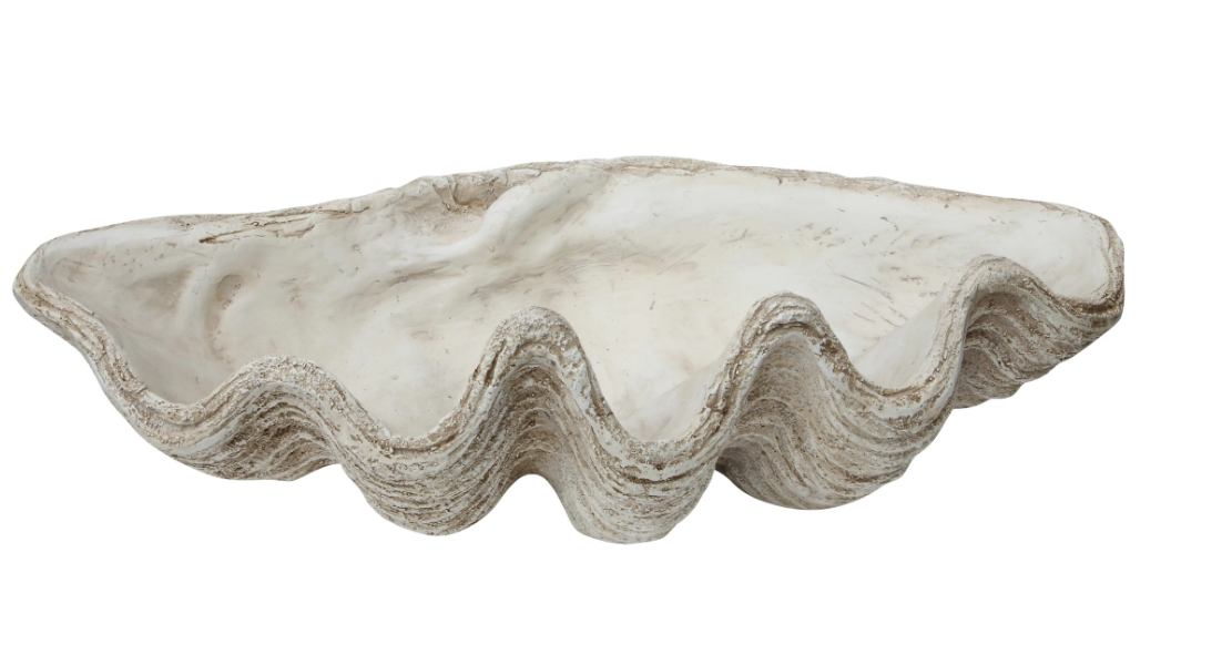 Magnesia Seashell Centerpiece