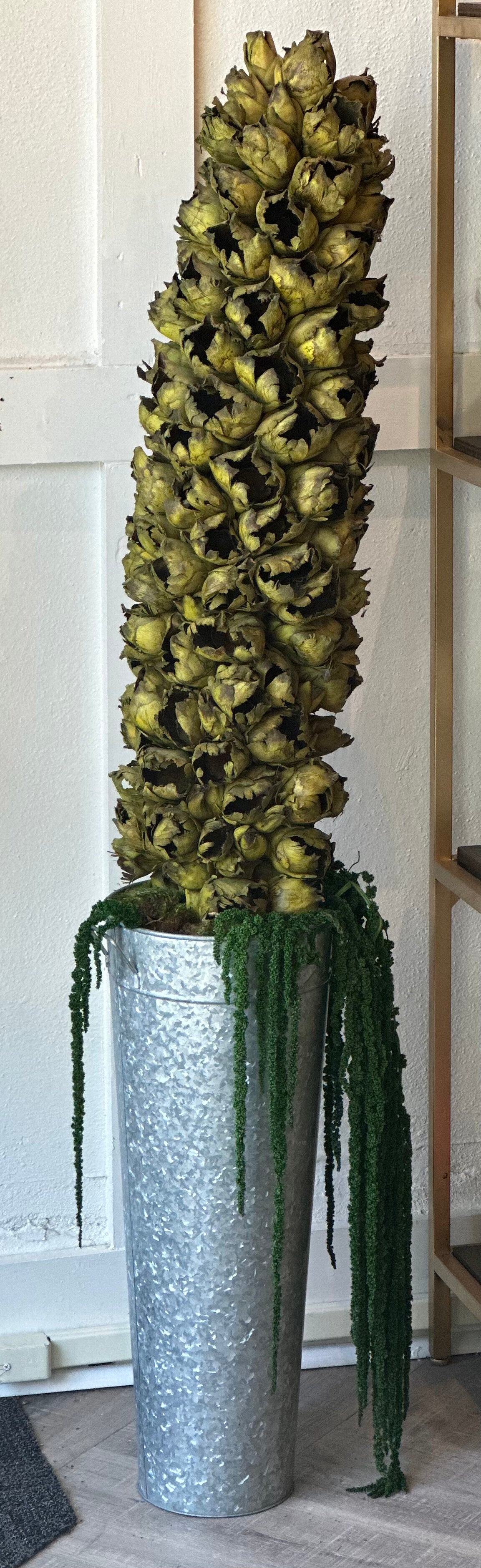 Giant Seed Pod