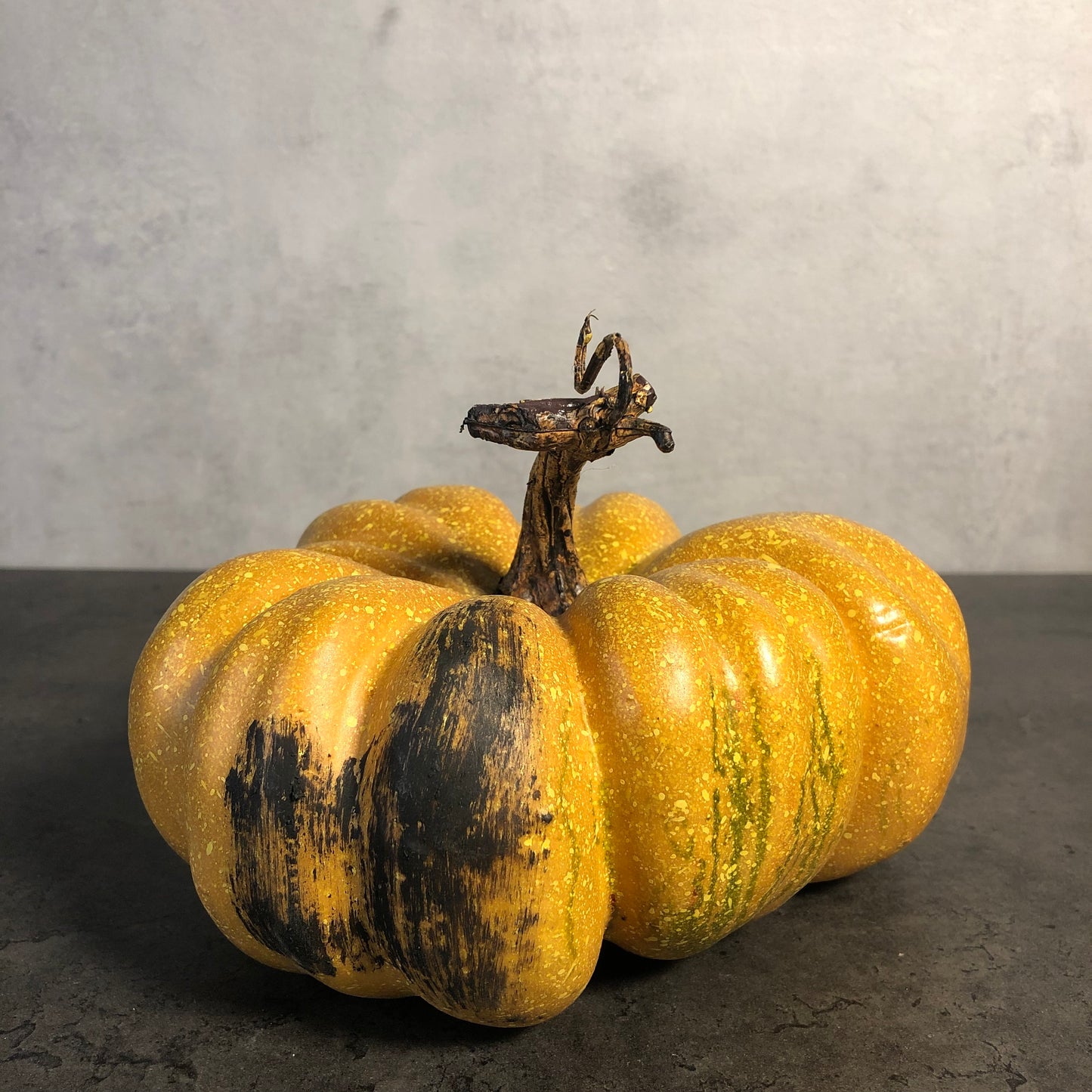 Orange Black Gourd