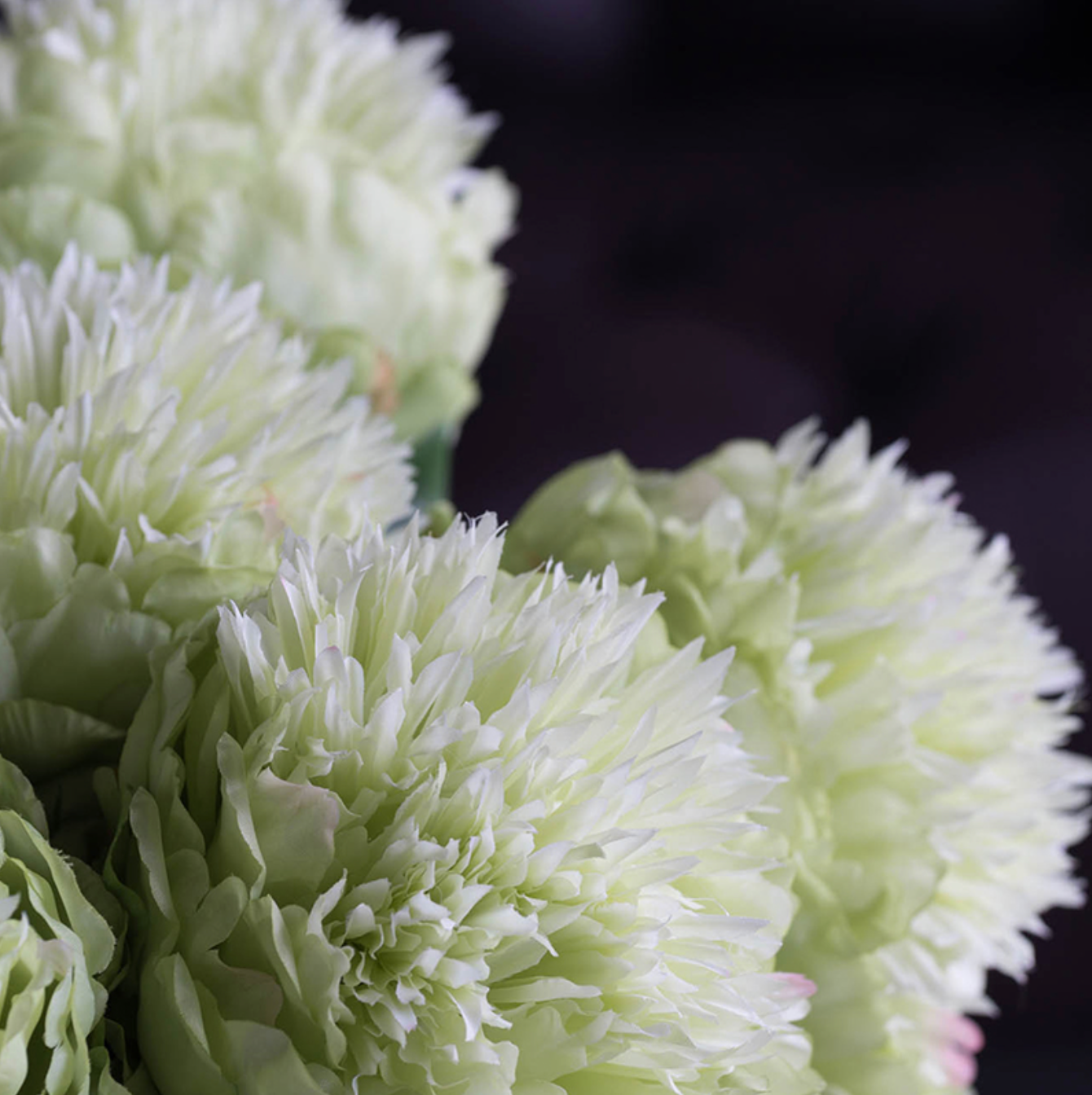 Peony
