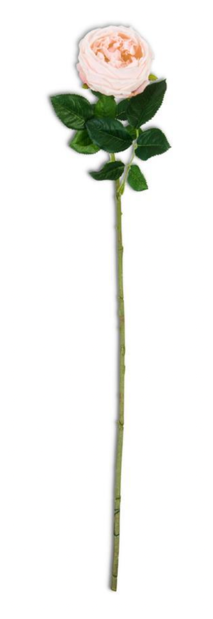 Real Touch Austin Rose Stem