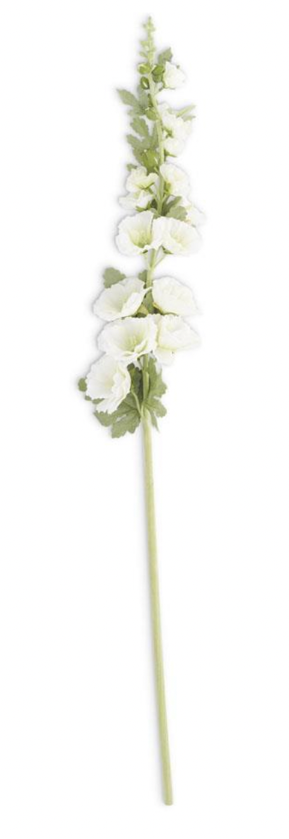 White Hollyhock Stem