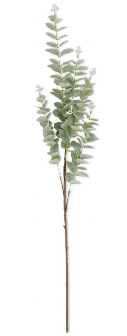 Gunnii Eucalyptus Stem