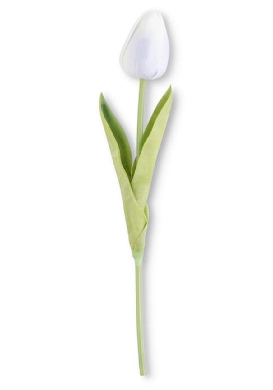White Tulip Stem