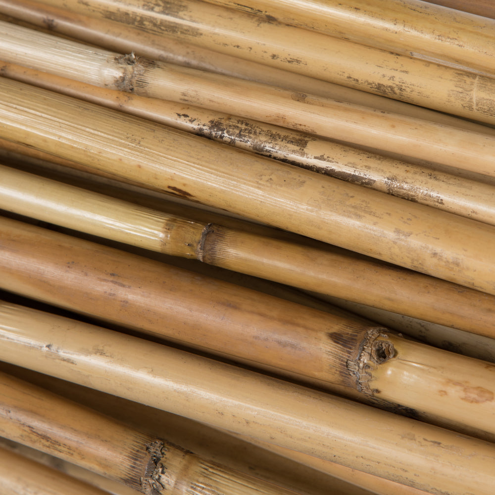 Bamboo Reed Natural