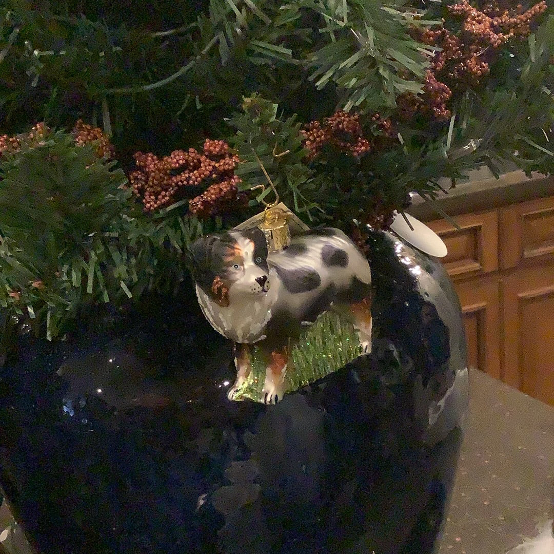 Australian Shepard Ornament