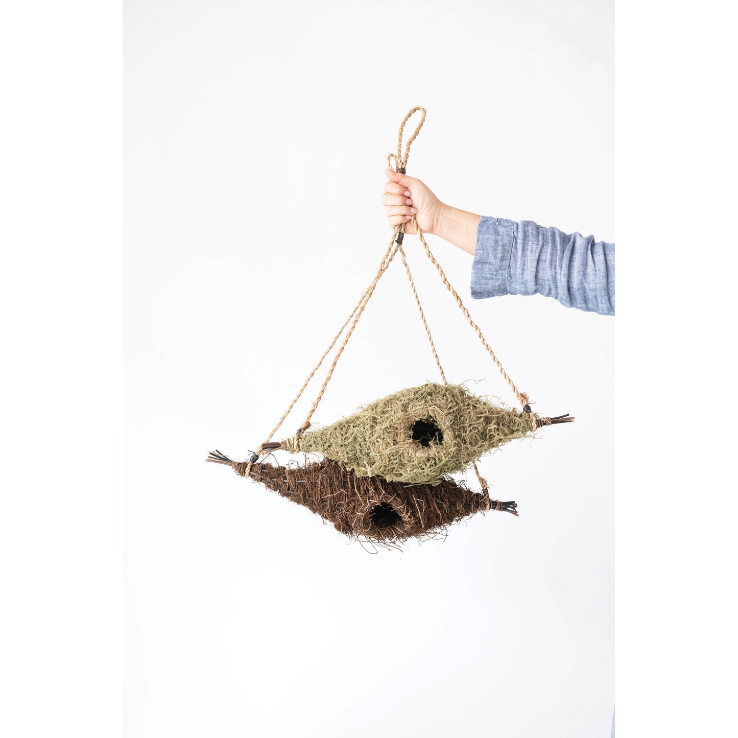 Bird Nest