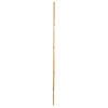Bamboo Reed Natural