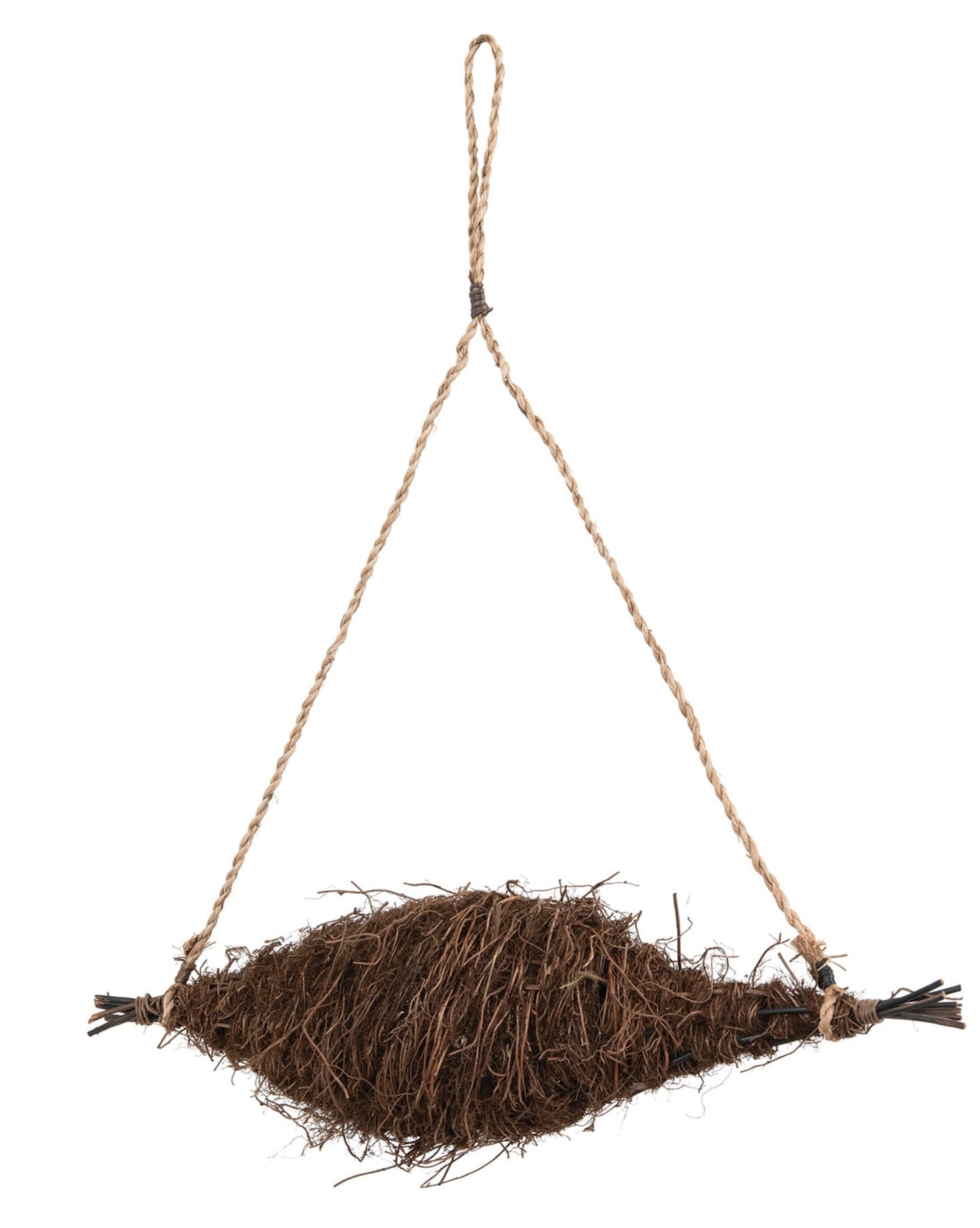 Bird Nest