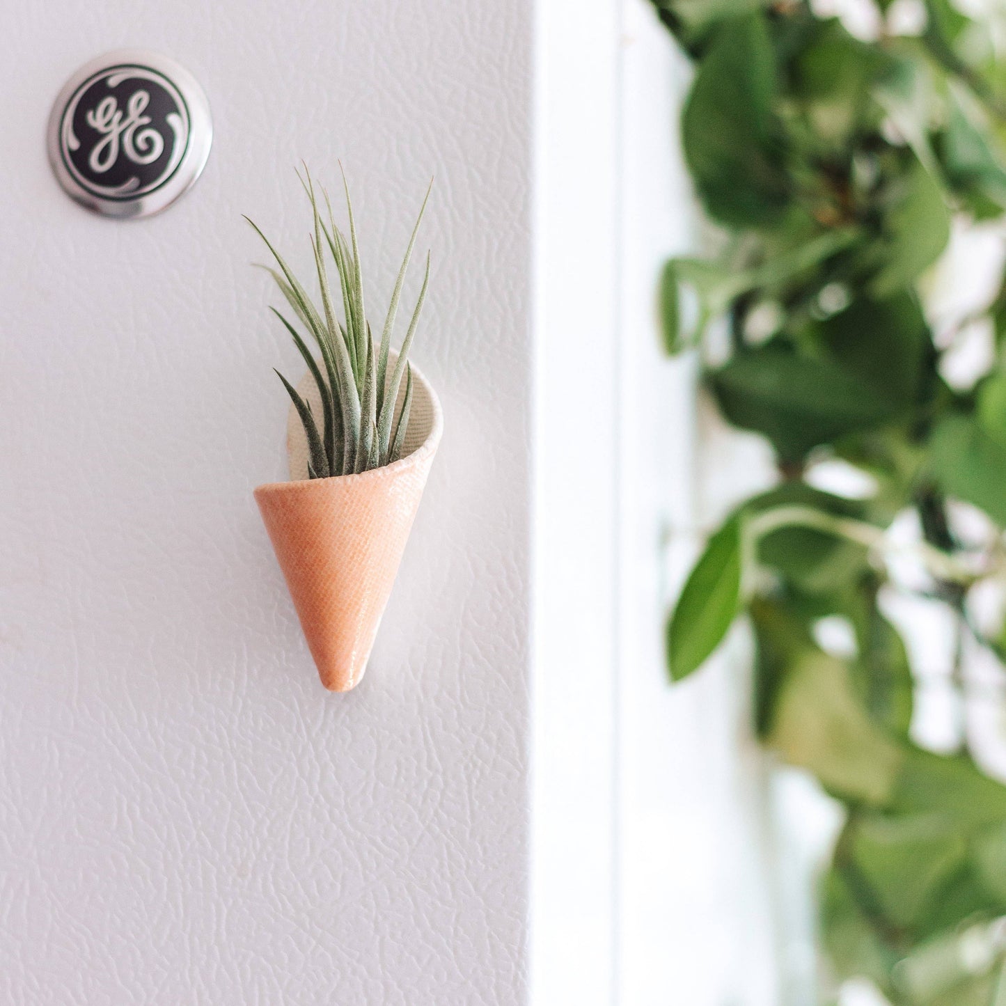 Tiny Ceramic Magnet Planter: Blush / With Plant