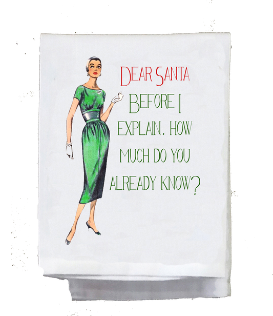 Sassy Girl,  Christmas, Dear Santa, Before I explain