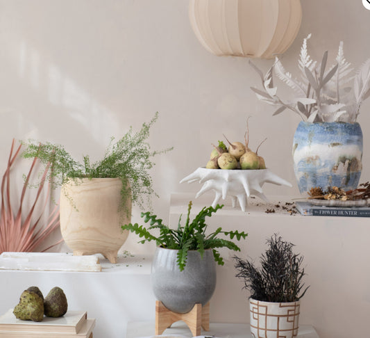Paulownia Wood Footed Planter